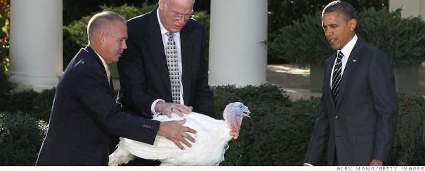 <<enter caption here>> on November 21, 2012 in Washington, DC.