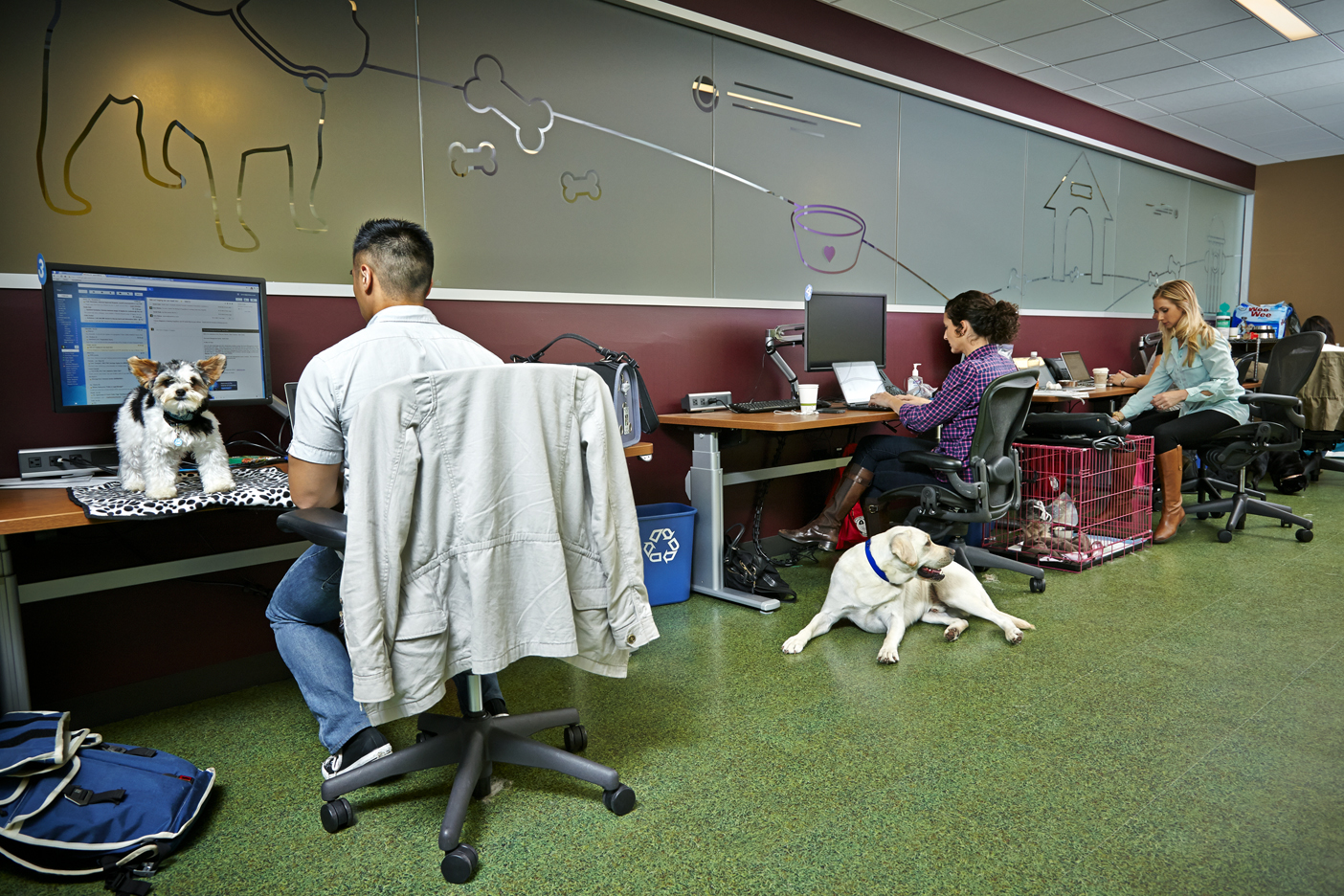 great workplaces salesforce puppy force