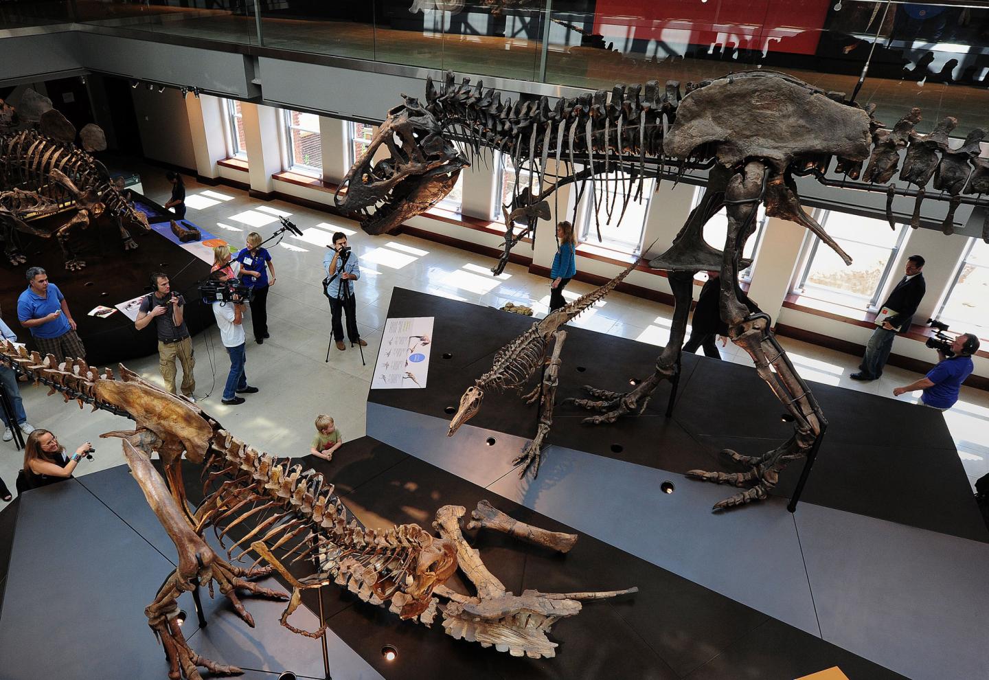 TO GO WITH US-SCIENCE-DINOSAUR-TOURISMV