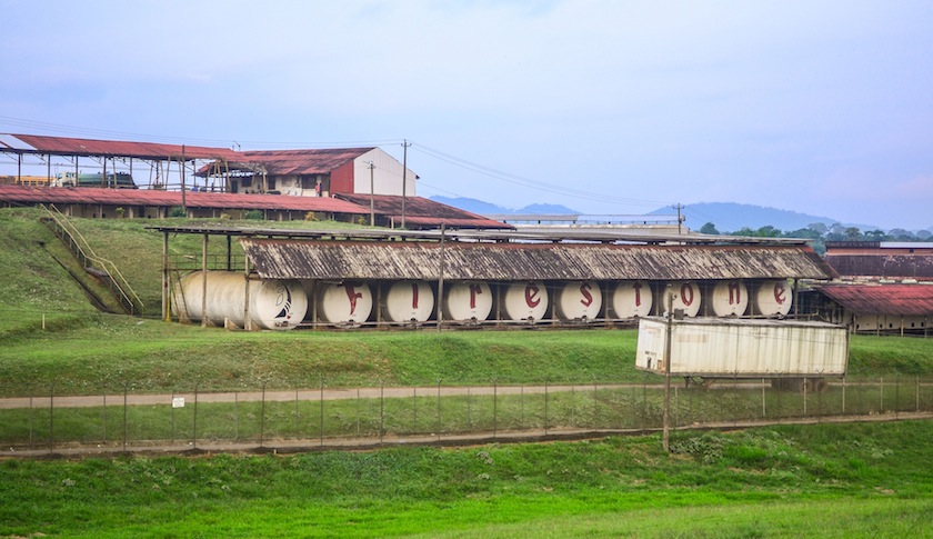 Firestone's rubber plantation in Liberia