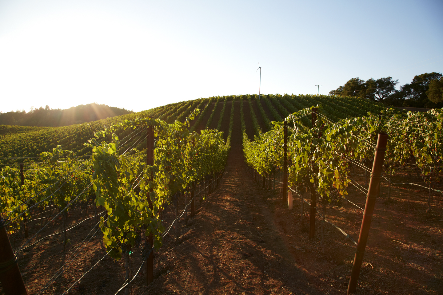 Alexander Mountain Estate