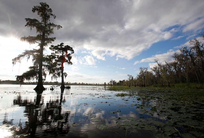 Maurepas_Gardner,Sean_2011_07