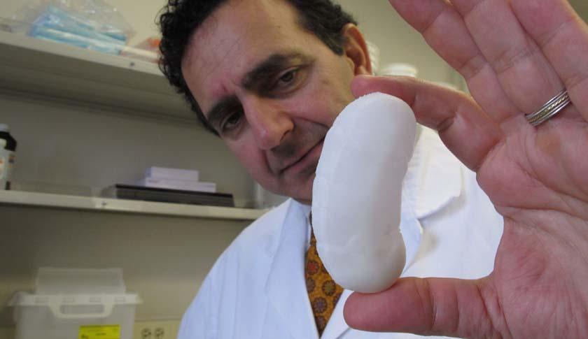 Growing Organs