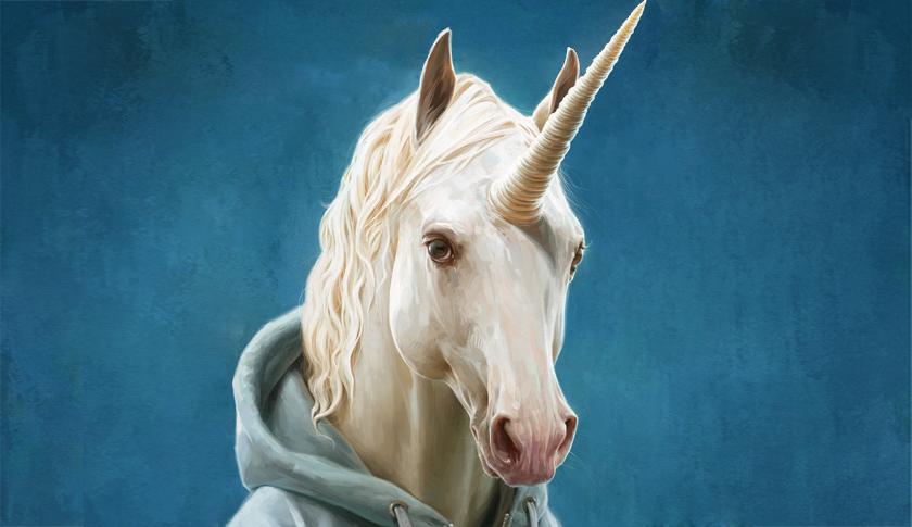 Unicorn cover horizontal