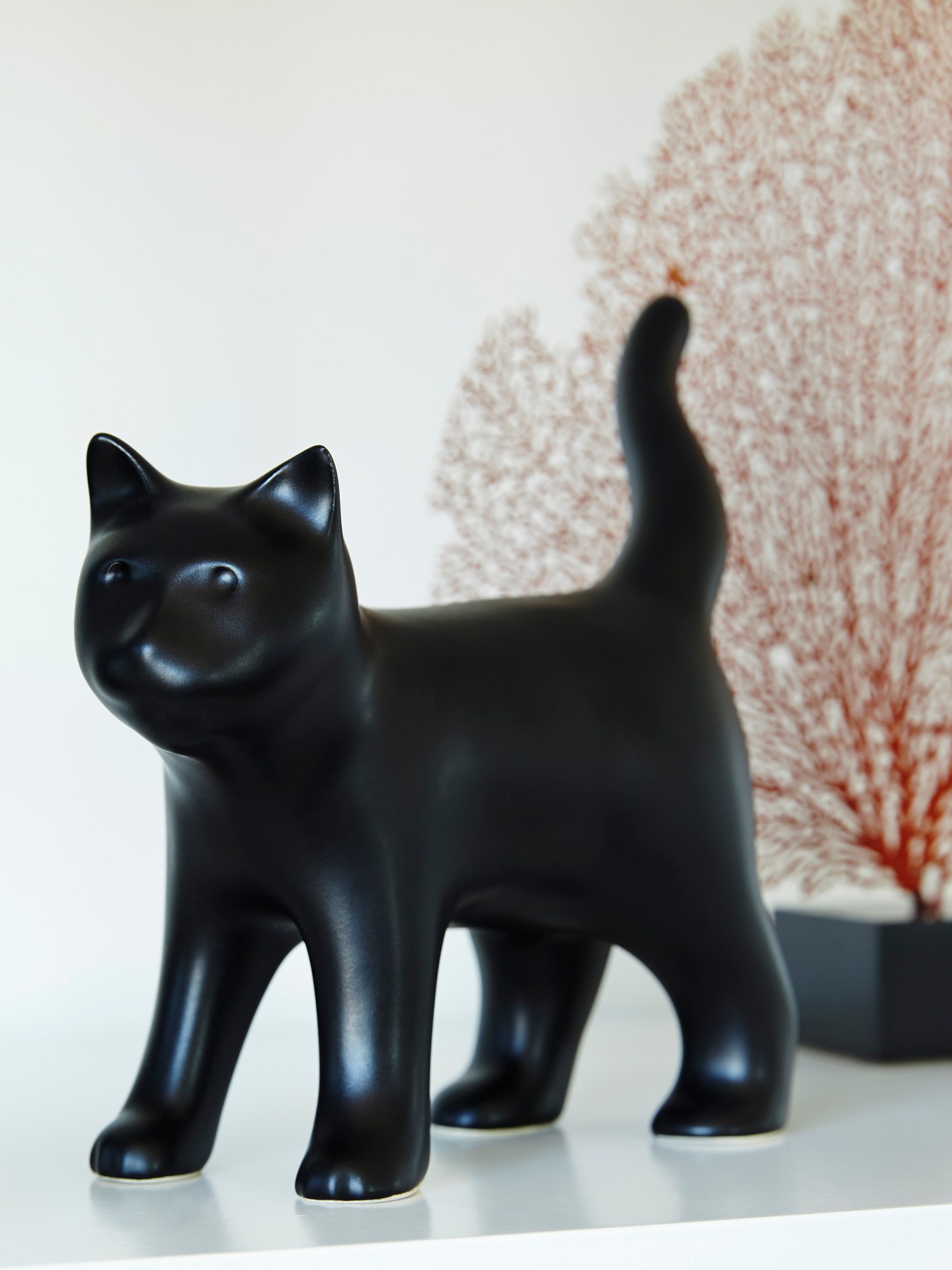 Architectural Photography