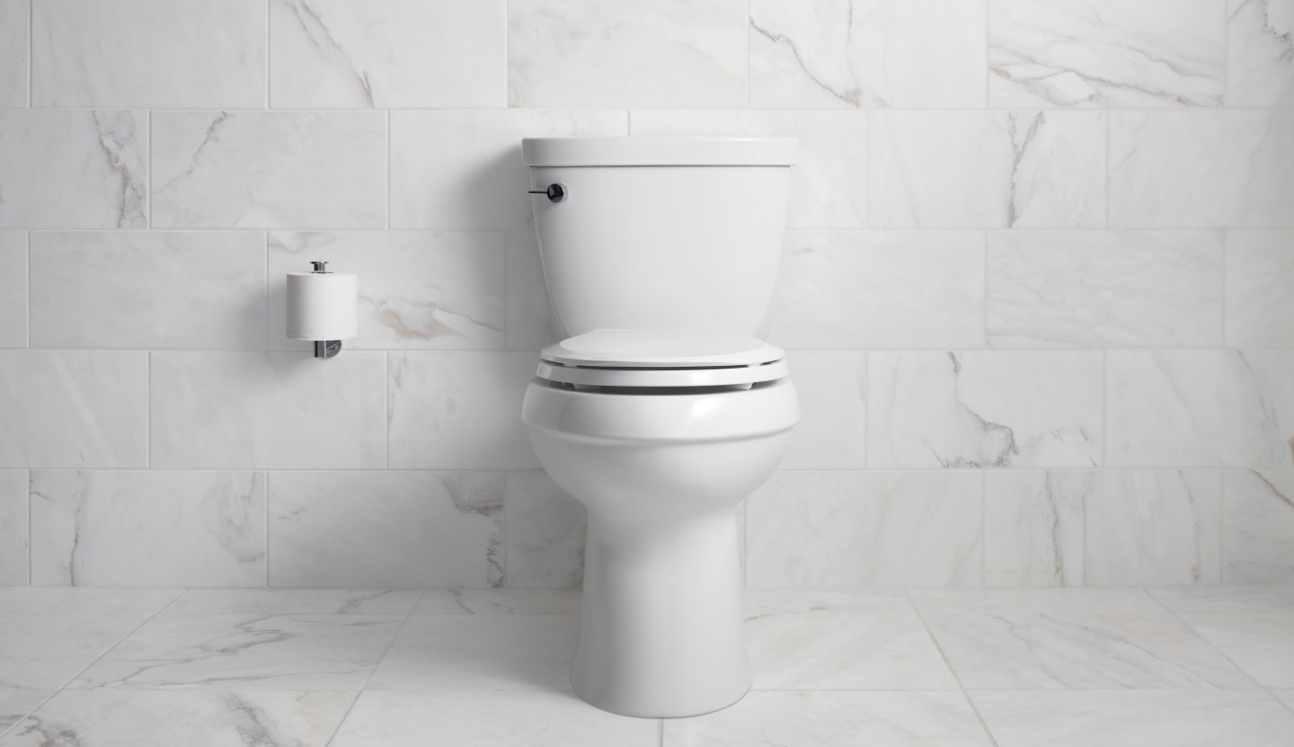 2015 Home renovations — Kohler toilet
