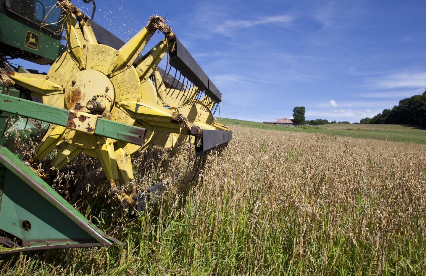 John Williamson harvests a four-acre field of oats on July 25, 2012 using a combine on his 200-acre organic farm in North Bennington, Vermont. 