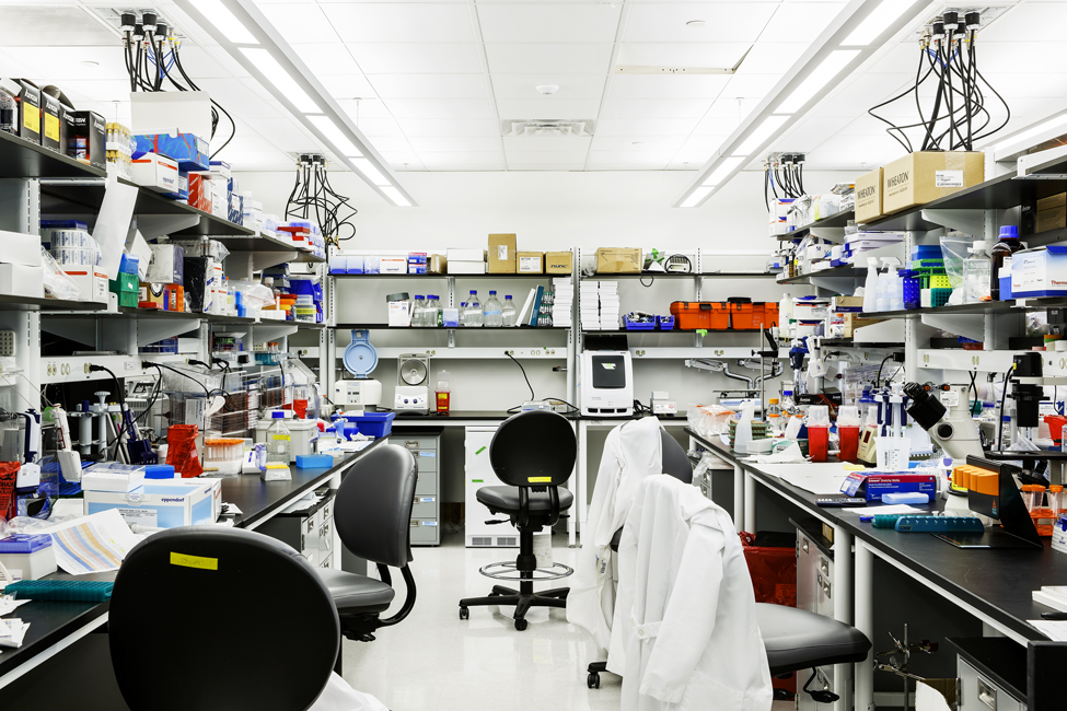 Biogen, Alzheimer's drug