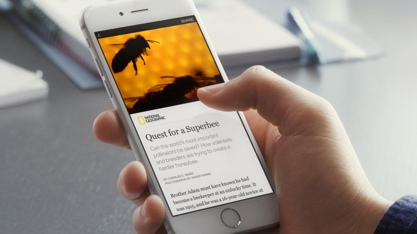 Facebook Instant Article - Article