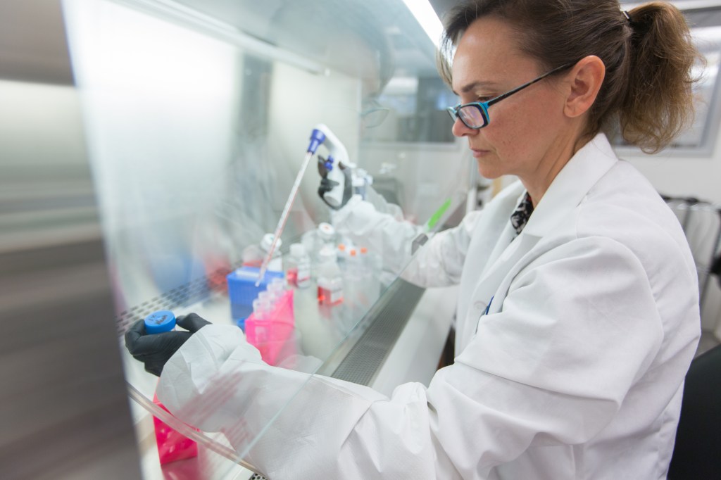 The Fortune 500's fastestgrowing pharmaceutical companies Fortune