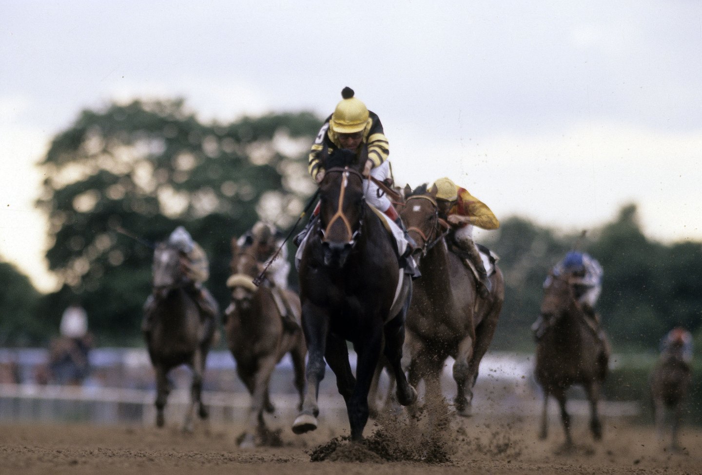 June 13, 1977:Belmont Stakes, Seattle Slew, Jean Grugent