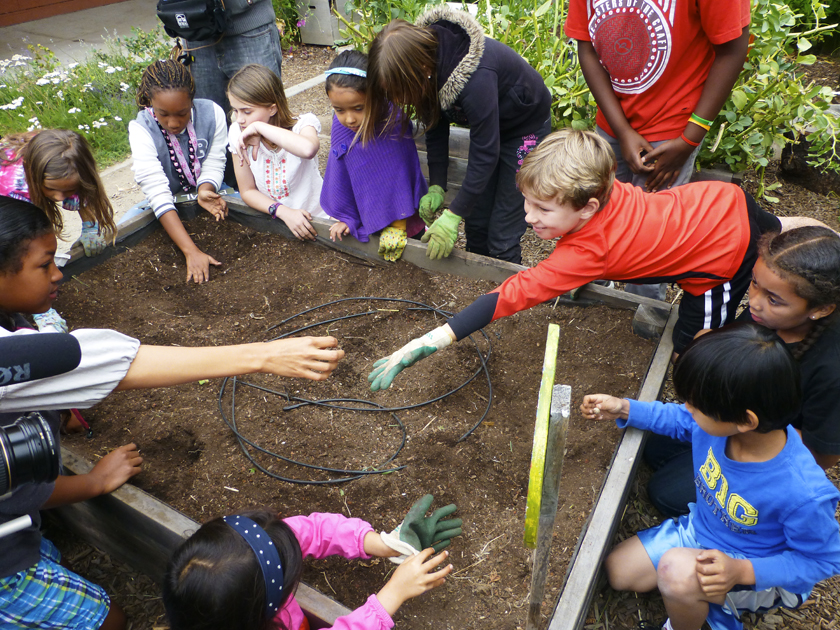 WHOLE KIDS. FOUNDED IN 2011. FUNDS SALAD BARS (4,091 SO FAR) AND GARDENS (3,014) IN SCHOOLS TO COMBAT CHILDREN'S POOR NUTRITION. A SALAD BAR CAN IMPROVE THE BOTTOM LINE FOR SCHOOL LUNCH PROGRAMS IN 16 WEEKS AND REDUCE FOOD WASTE