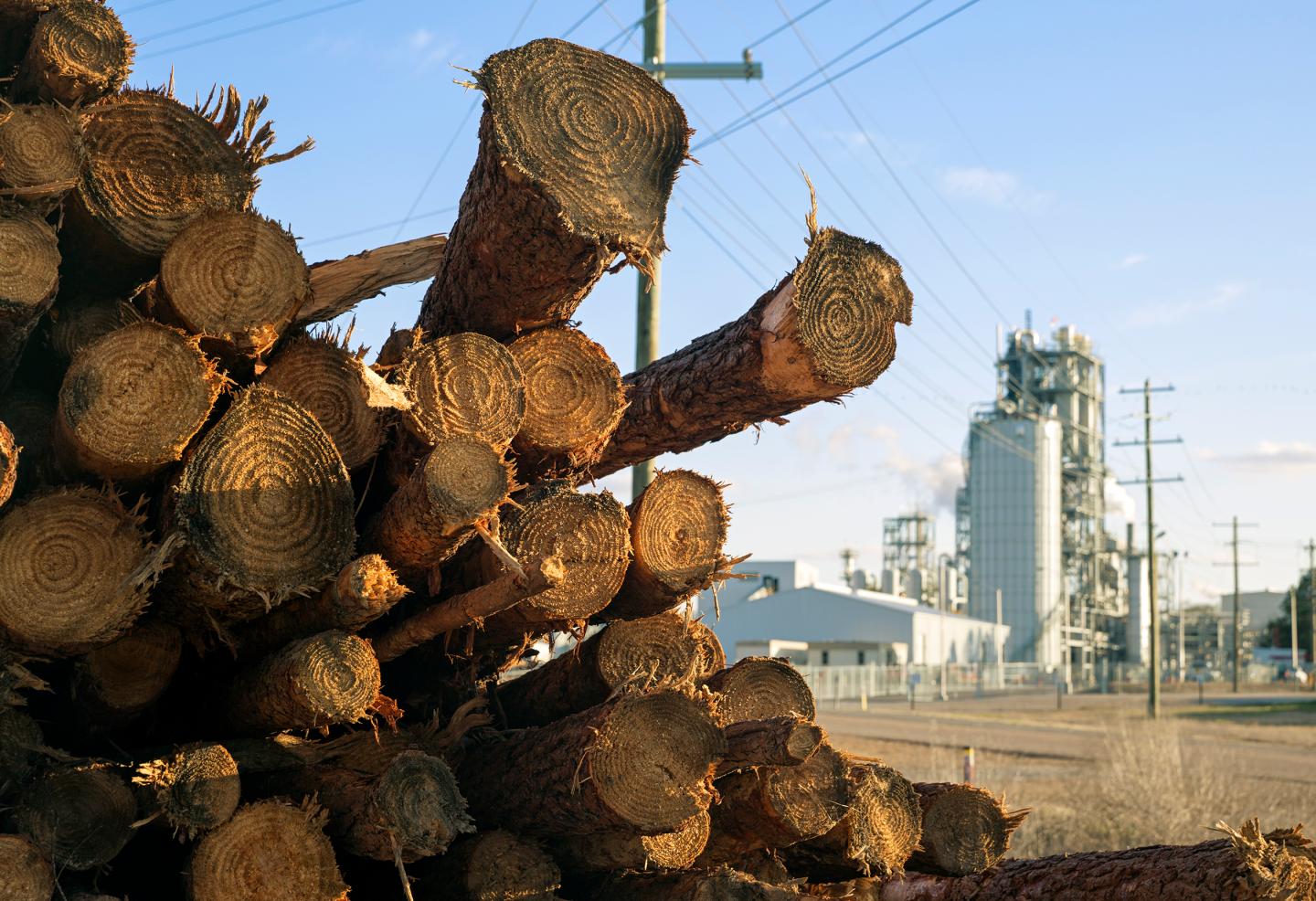 Kior, Vinood Khosla