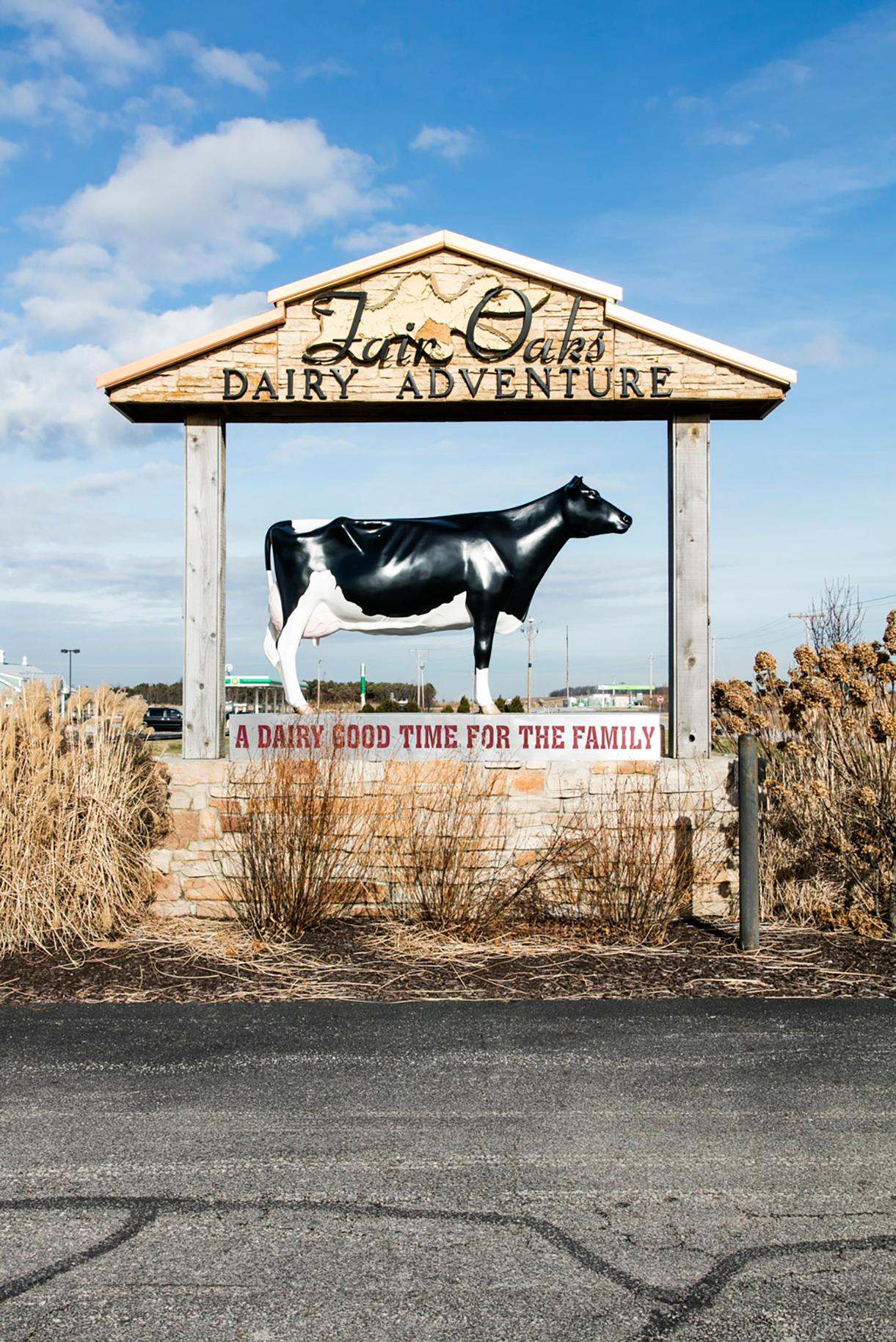 Dairy.Oaks.Farm.5