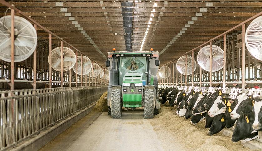 Dairy.Oaks.Farm.18