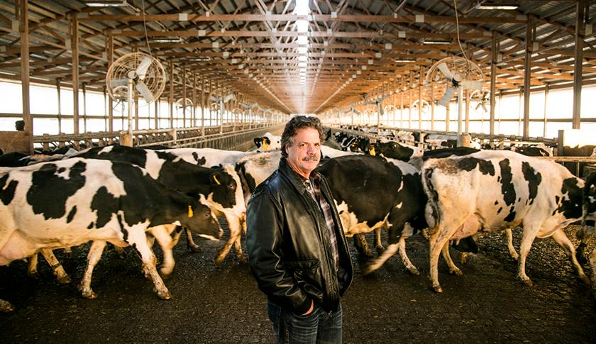Dairy.Oaks.Farm.14