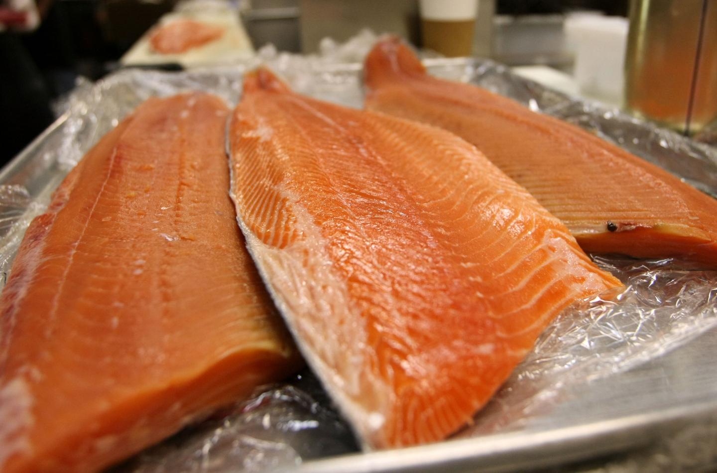 West Coast Salmon Fishing Season Canceled