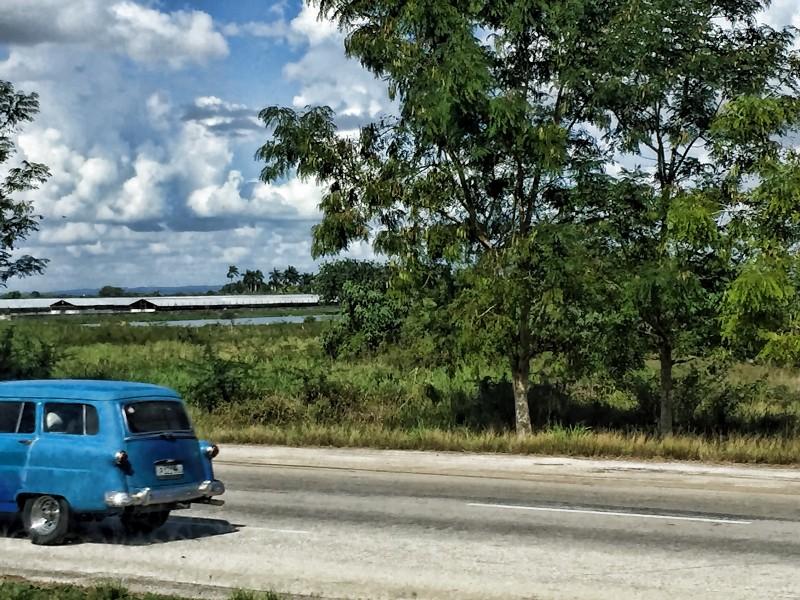 Agriculture Cuba