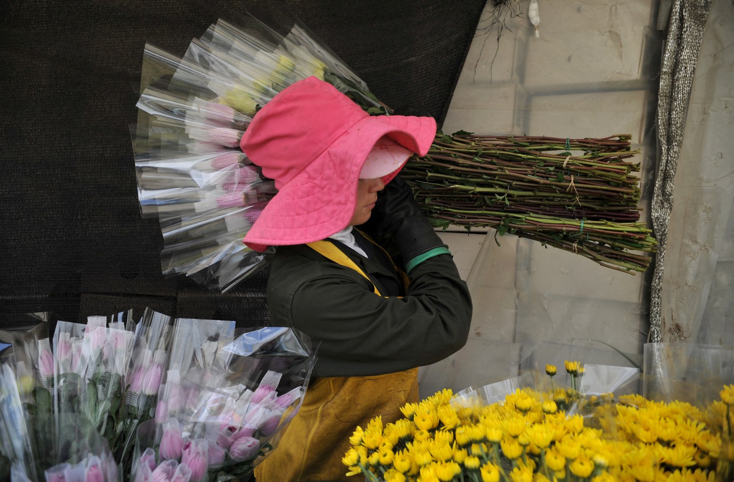 Valentines day - Colombia