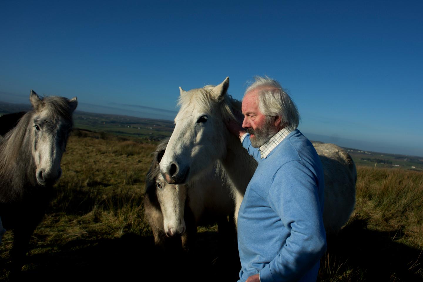 Willie Daly, one of Ireland?s last traditional matchmakers, pets some of his horses in a field close to his farmhouse in Ennistymon, Ireland.