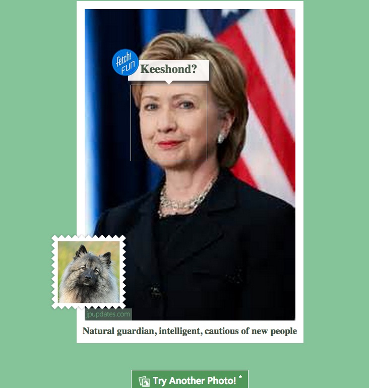 Hillary Clinton Dog Breed
