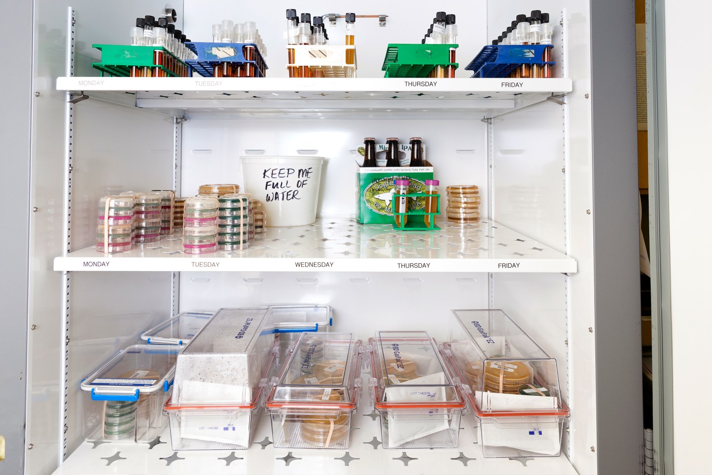 Rehoboth Beach, DE, Jan 12th 2016, Sam Calagione owner of Dogfish Beer is making a test batch at the original Brewpub at Dogfish Head Brewing and Eats. A lime induced brew. Photography By Christopher Lane/ Fortune Mag