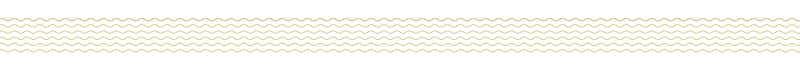 NES.05.01.16 noodles divider