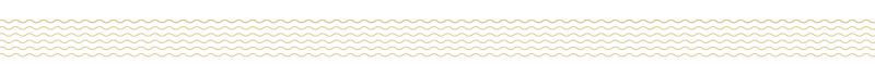 NES.05.01.16 noodles divider