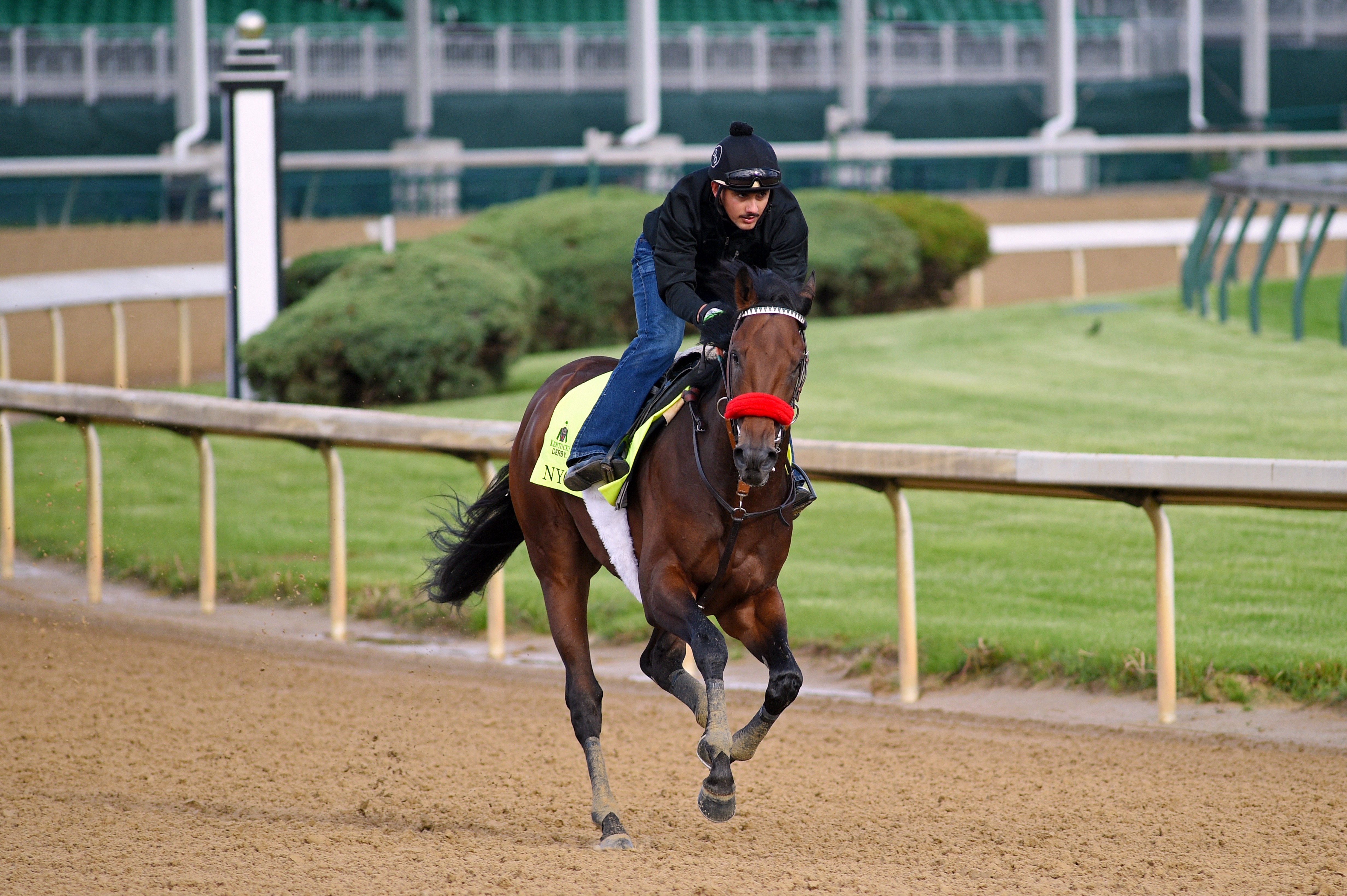 Here Are The Betting Odds For The 16 Kentucky Derby Fortune