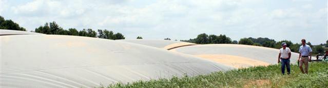 Digester NC