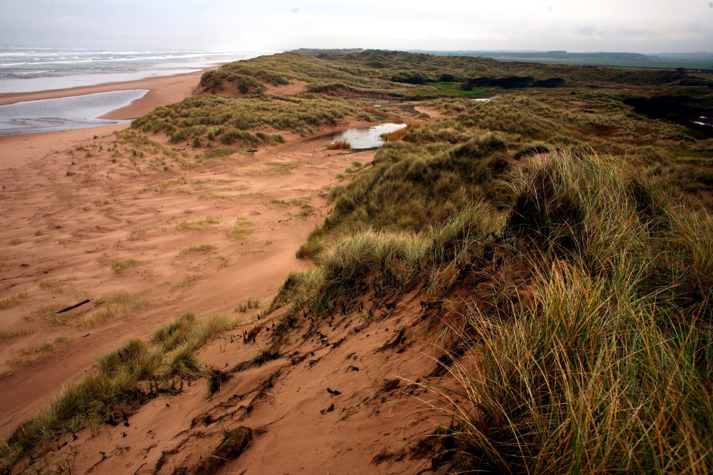 Donald Trump Is One Step Closer To Golf Club Victory