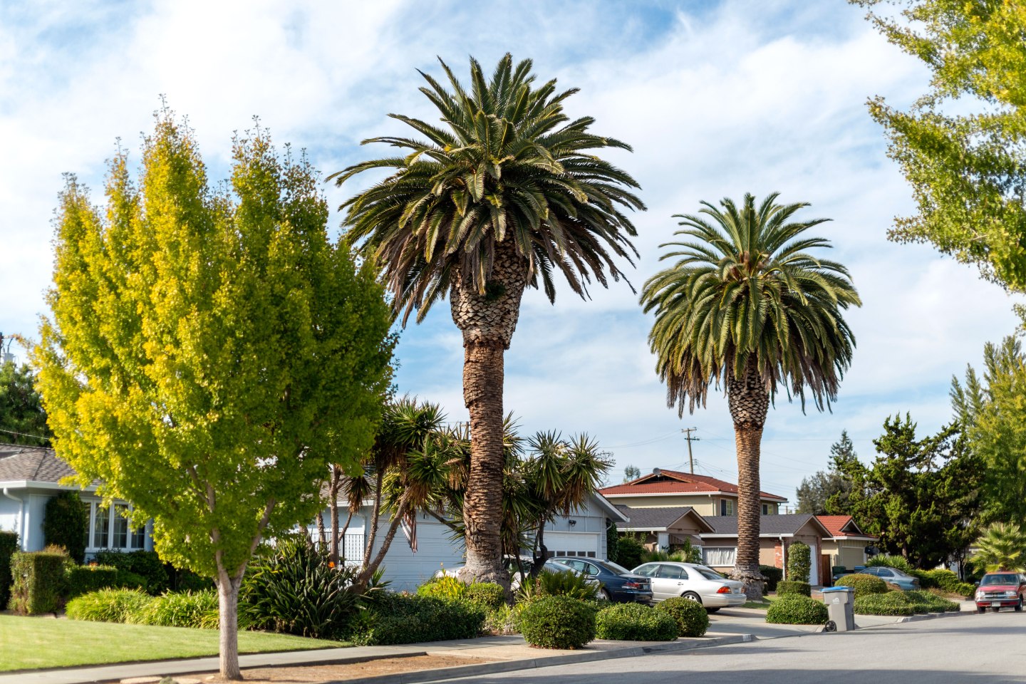 Residential neighborhood in San Jose, California
