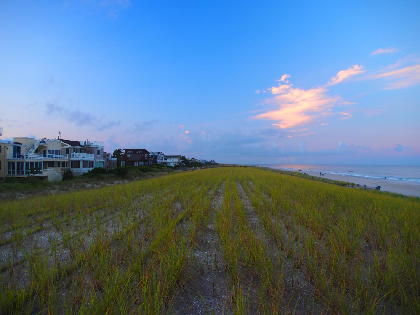 Restored Sand Dunes