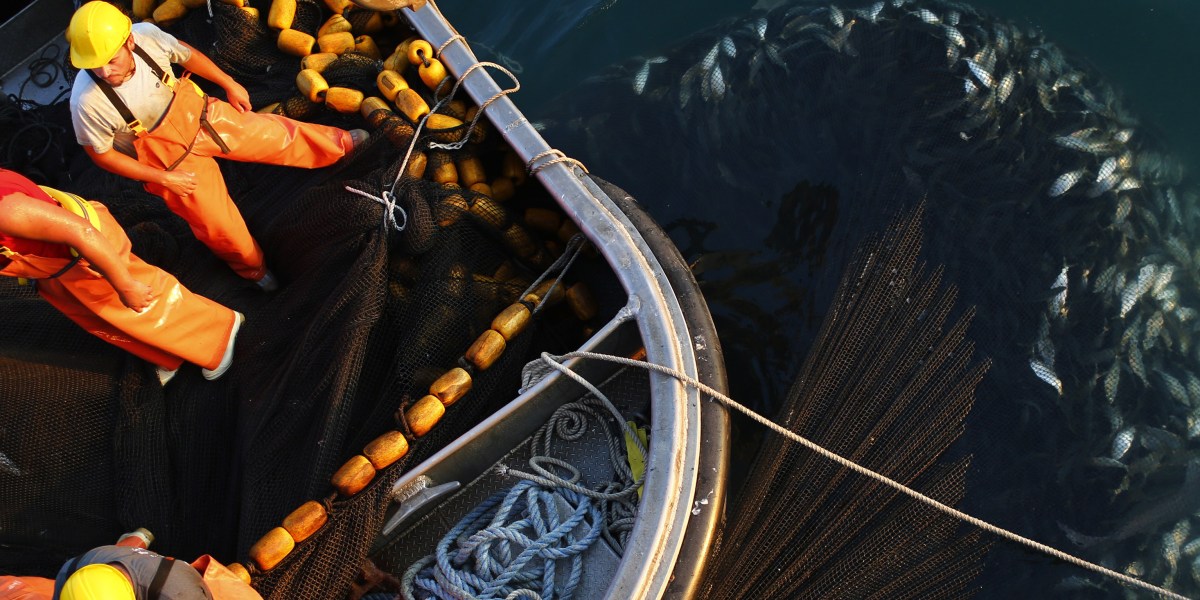 Omega Protein Fortune