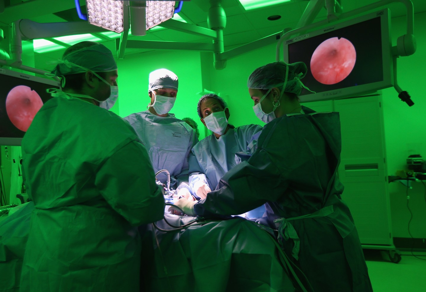 New York's Animal Medical Center Provides Advanced Treatments For Pets