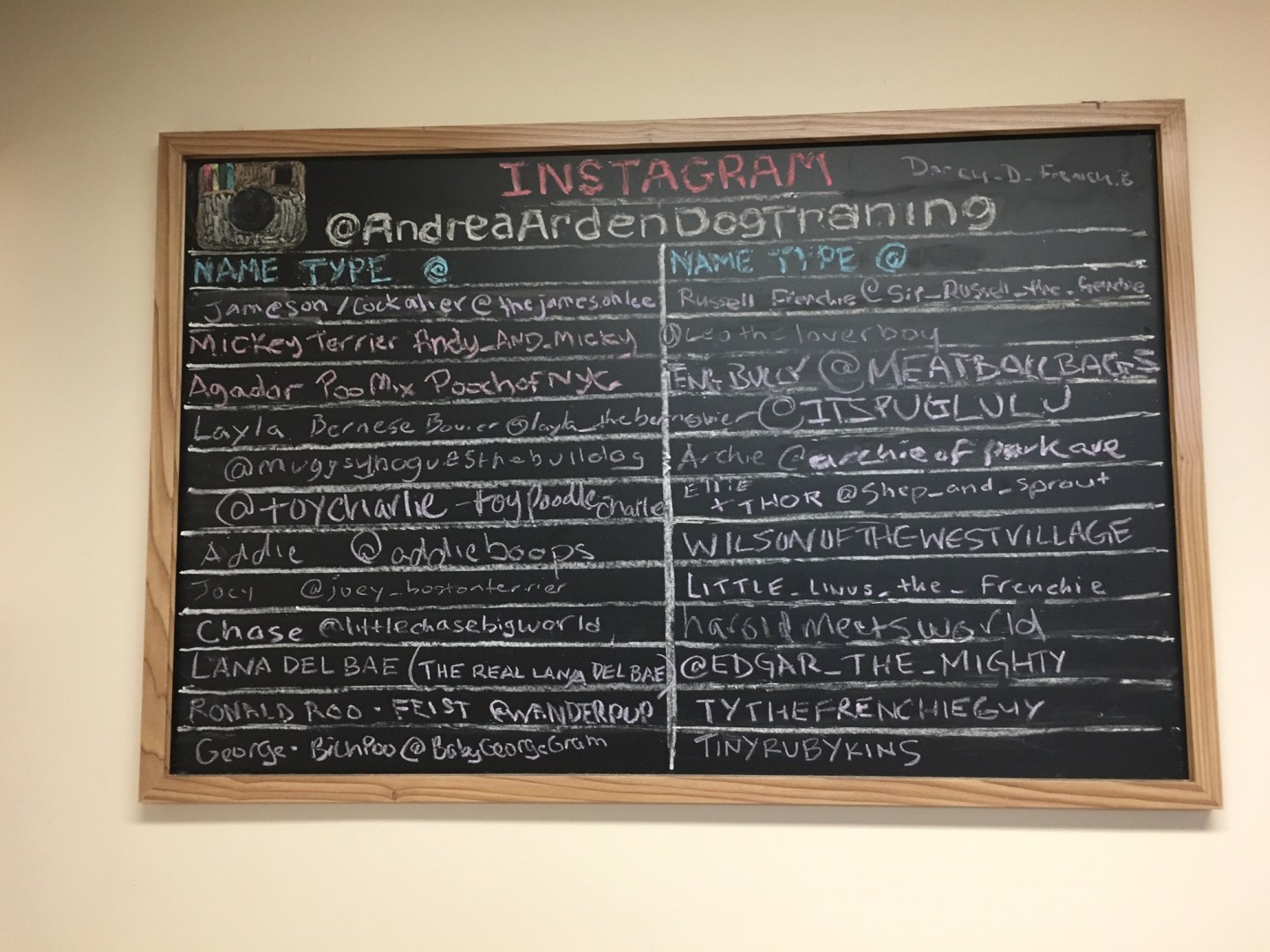 A board at the New York Dog Spa and Hotel where new owners can write down their dogs' Instagram handles.
