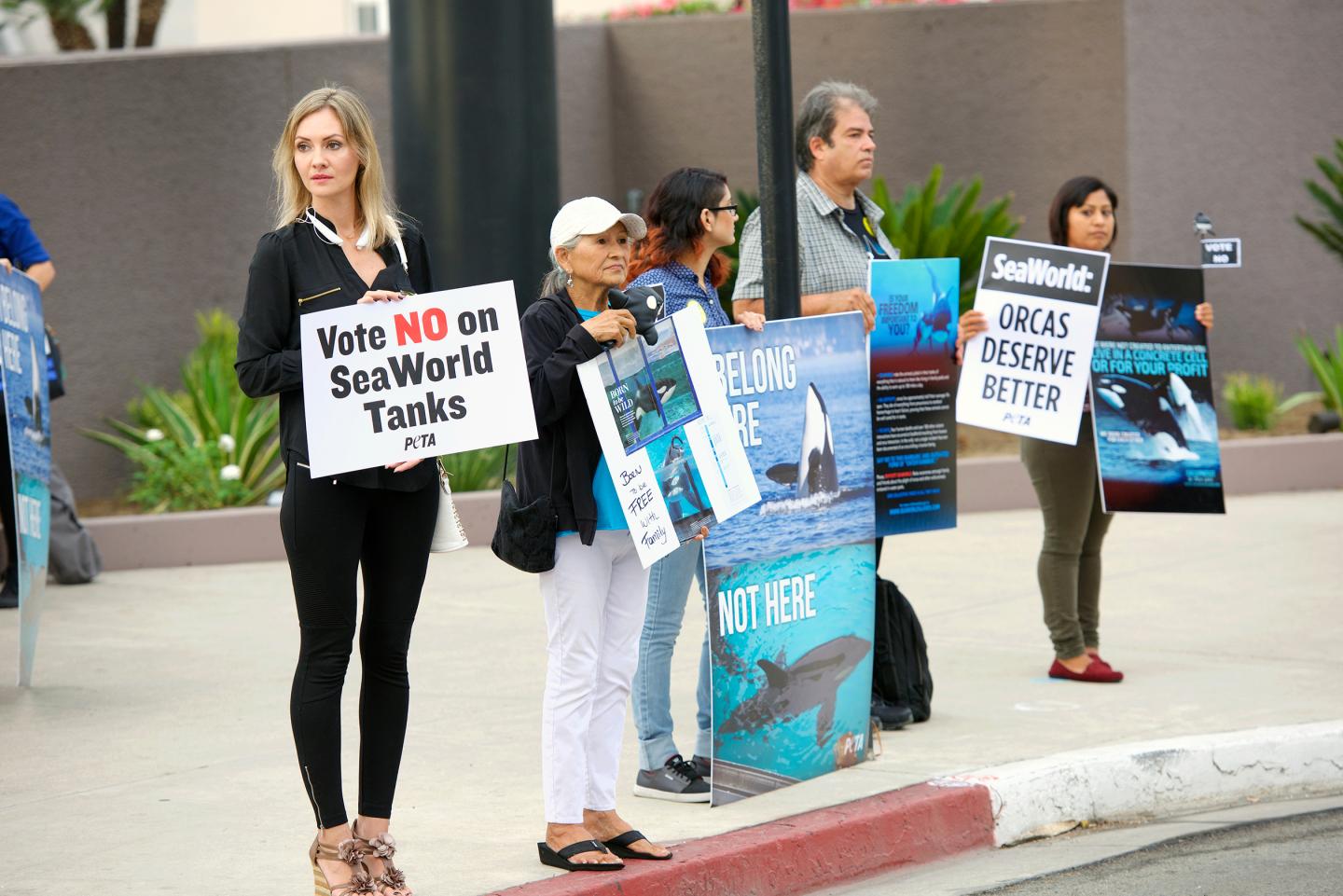 SeaWorld's trained animal shows have long spurred protests (like the one in Long Beach, California)