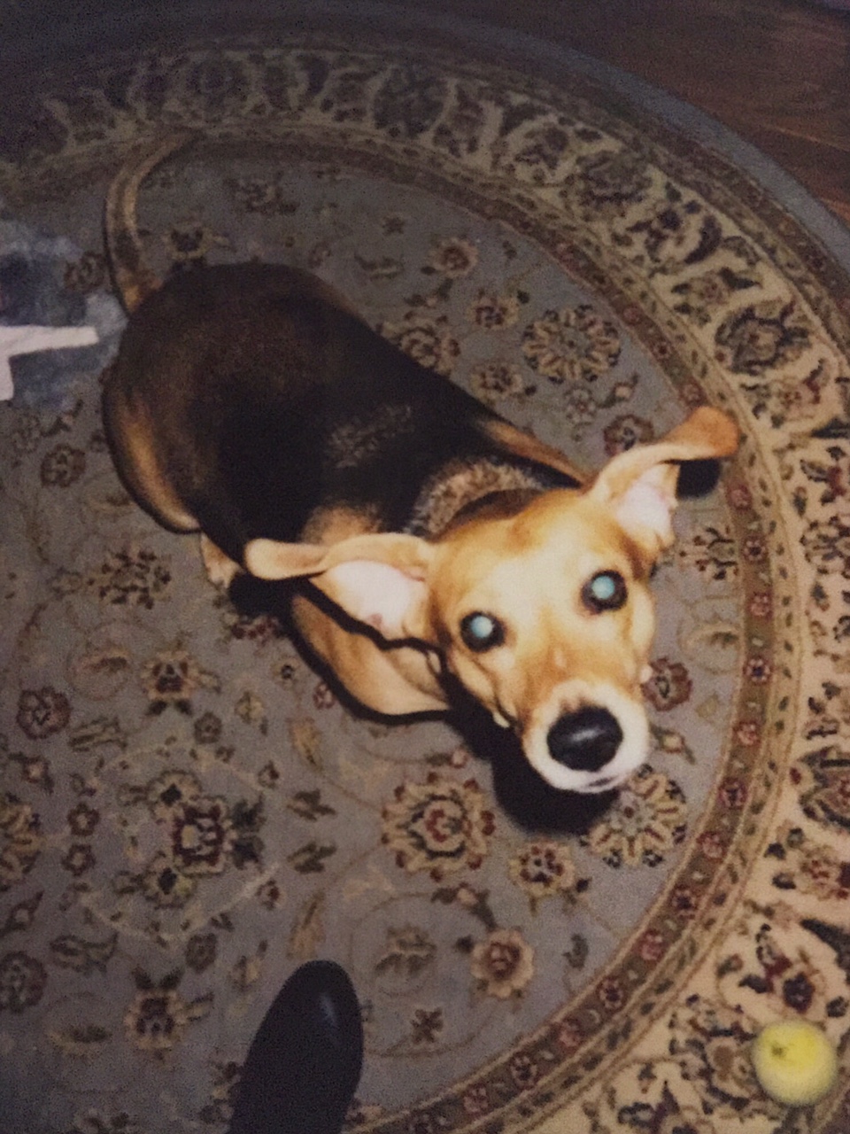 google-photo-scan-test-shot-1