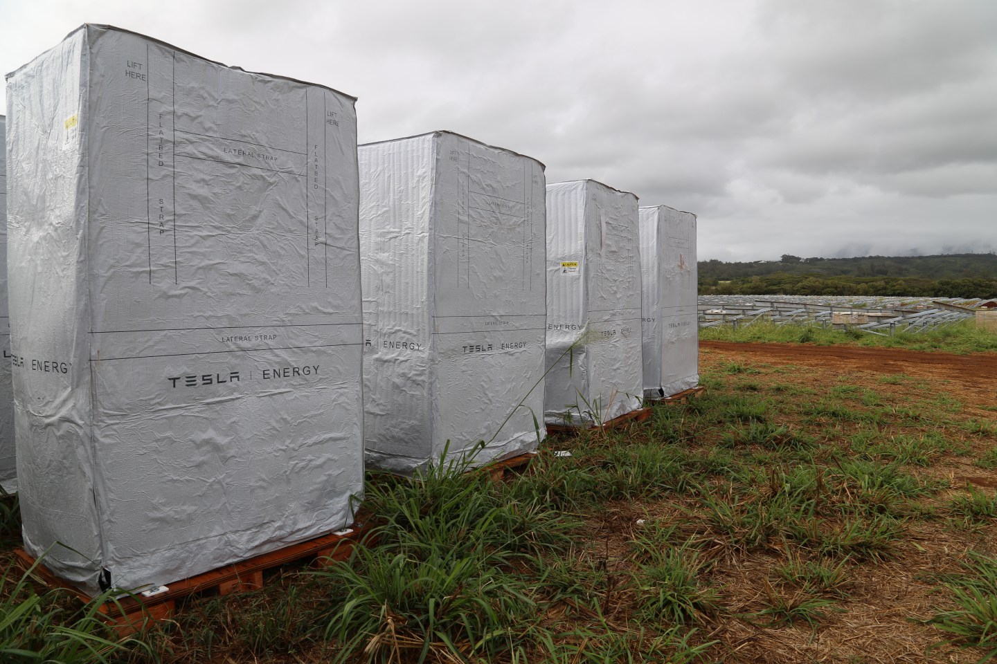 Tesla Powerwalls sit in the foreground with SolarCity's solar panel farm in the distance.