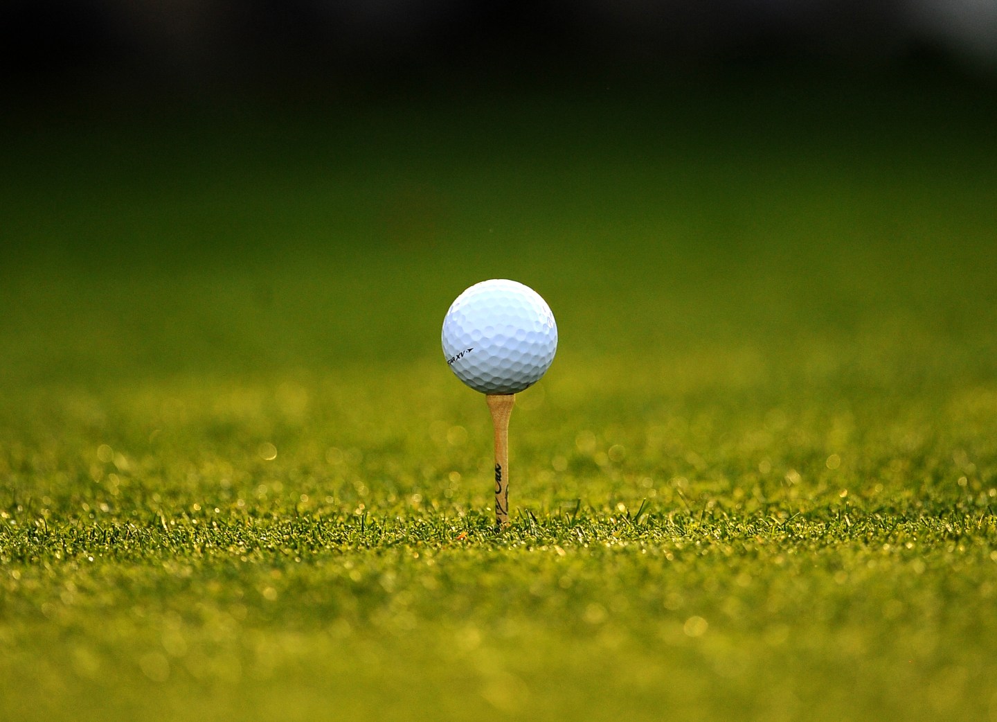 Costco Kirkland Golf Balls Are Sold Out Fortune