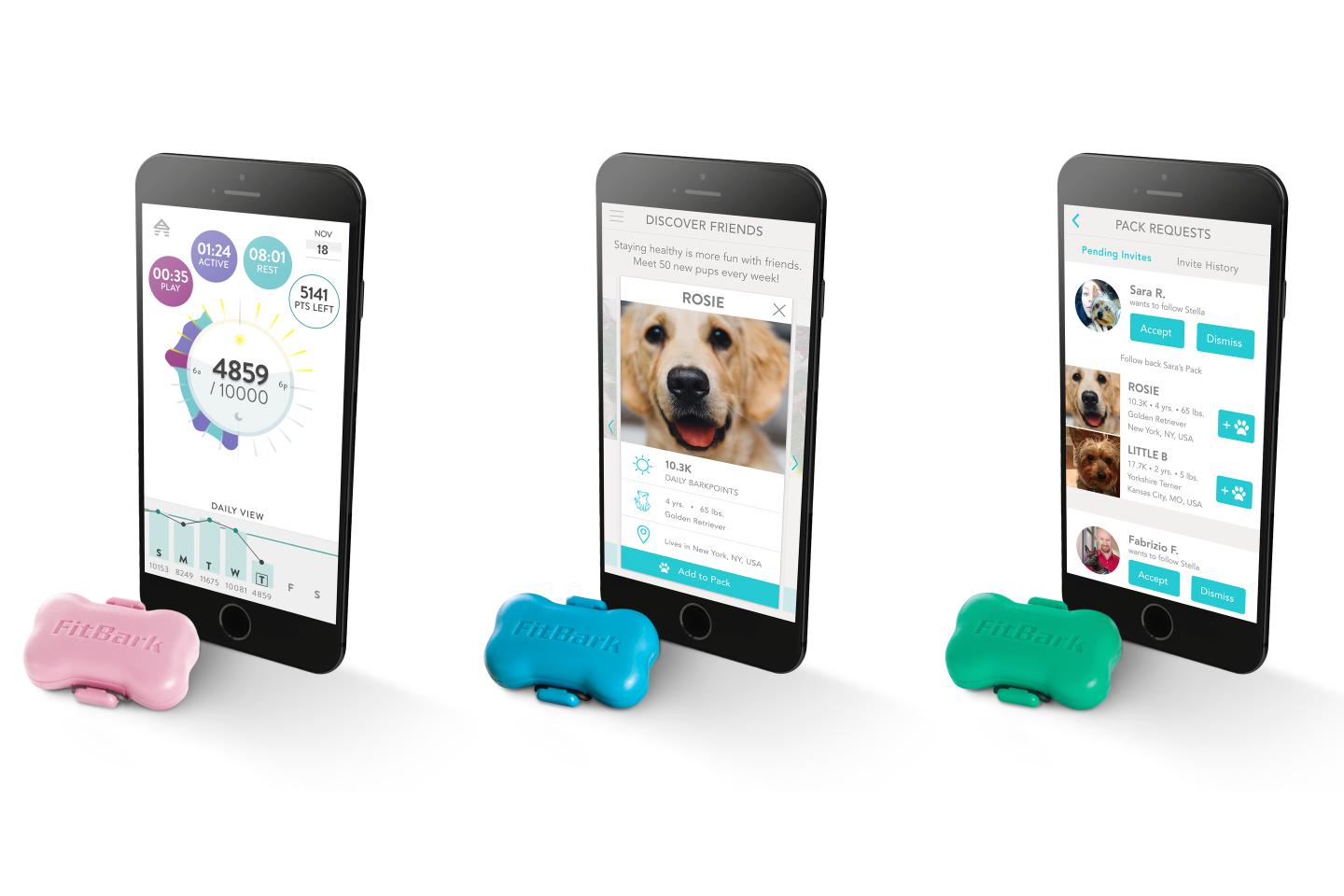 fitbark valentine tech gift guide 2017
