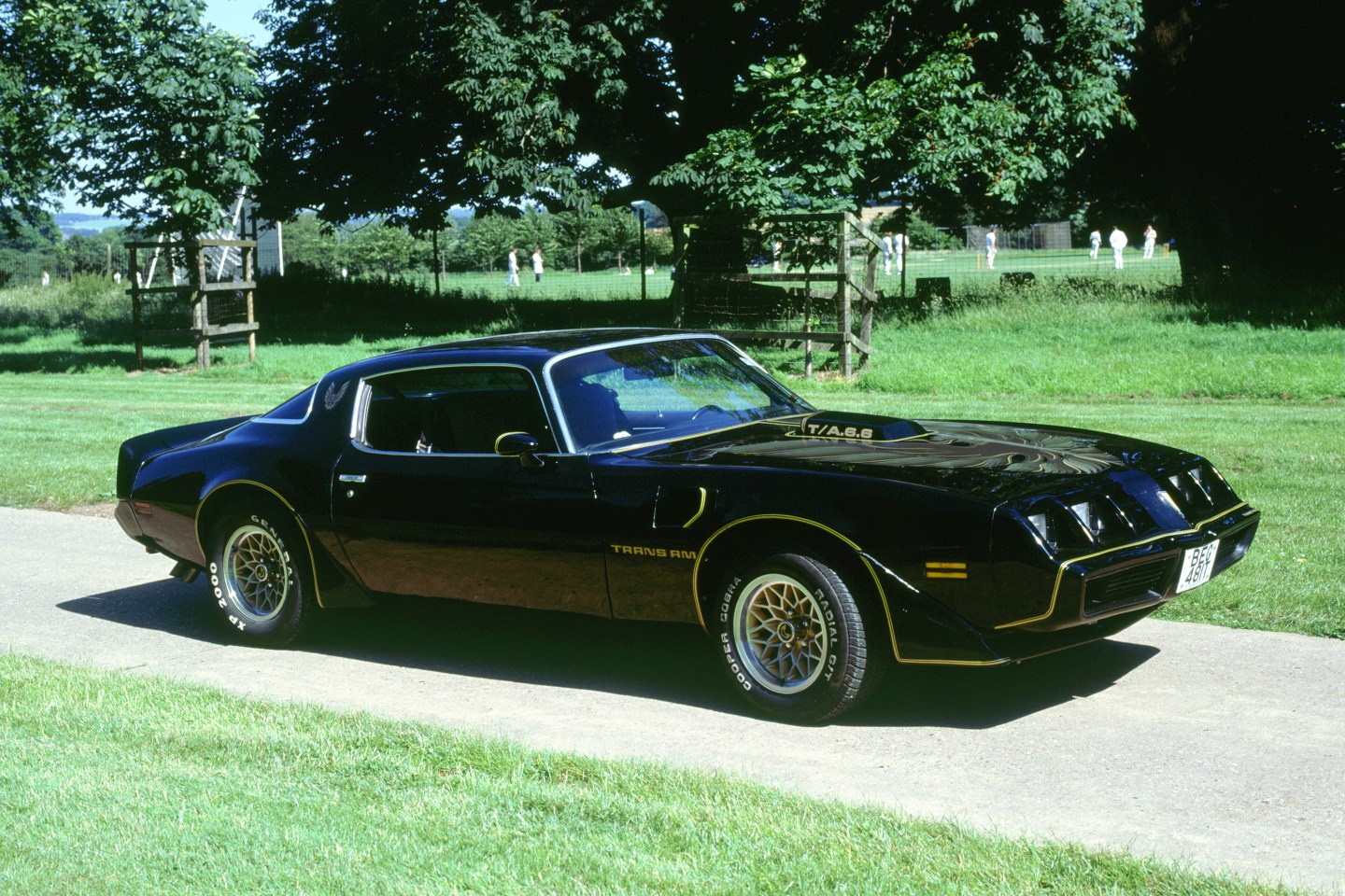 1979 Pontiac Firebird Trans Am