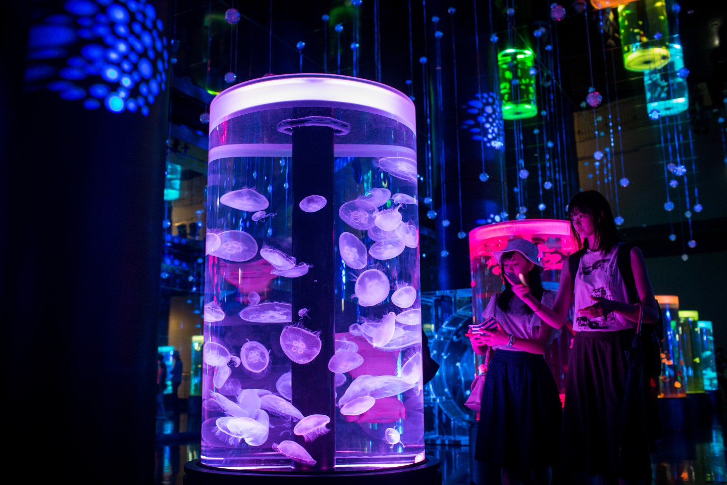 Neons And Jellyfish Attract Tokyoites To High-tech Aquarium