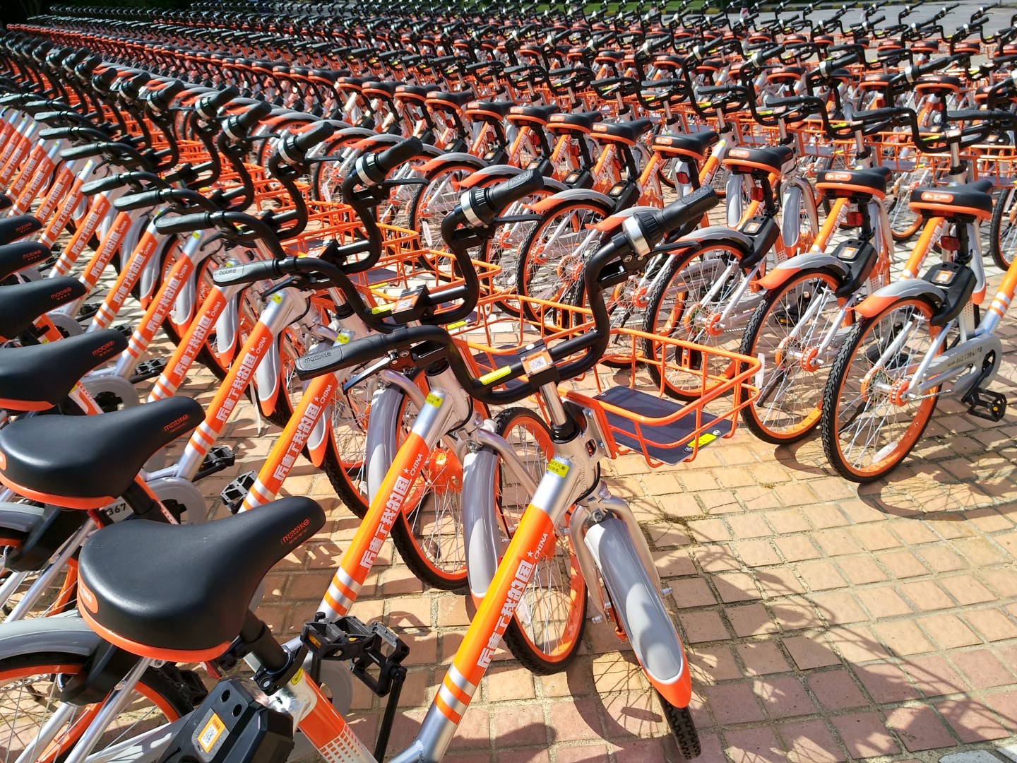 Mobikes With China-themed Slogans Make Debut In Shenzhen