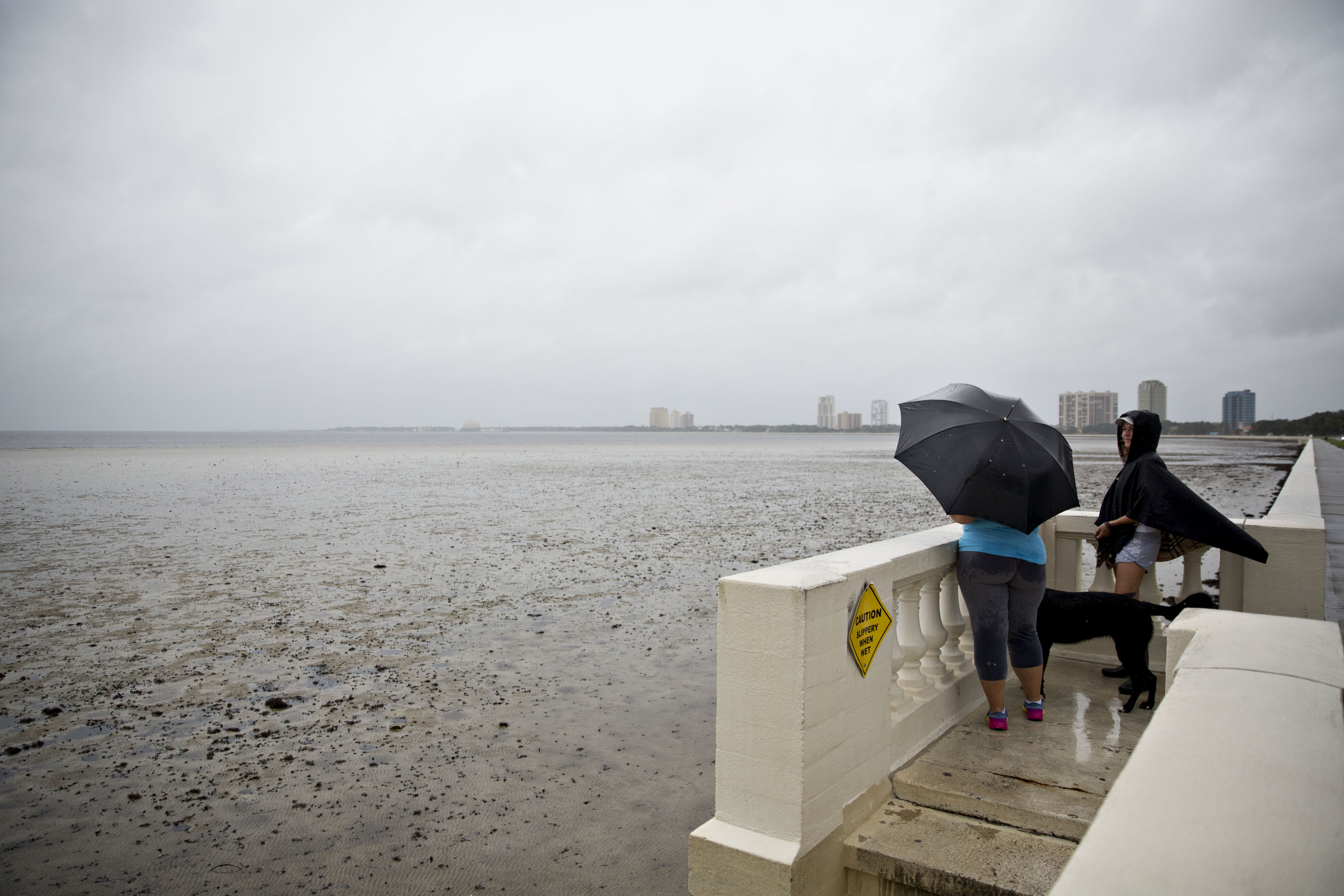 Hurricane Irma Is So Strong It S Draining The Ocean Fortune