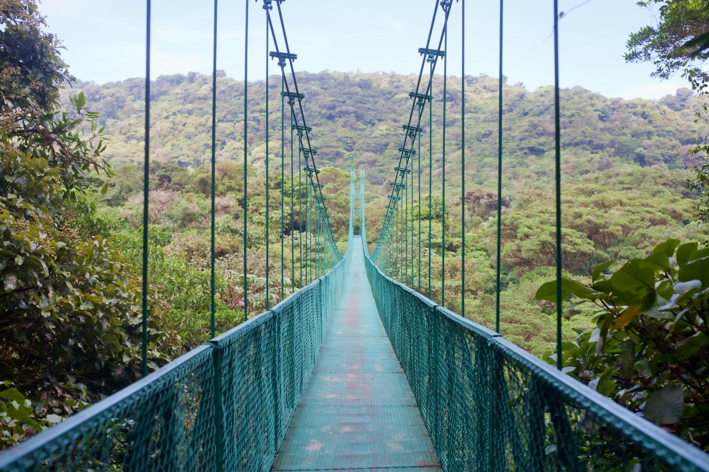 hanging bridge, Costa Rica