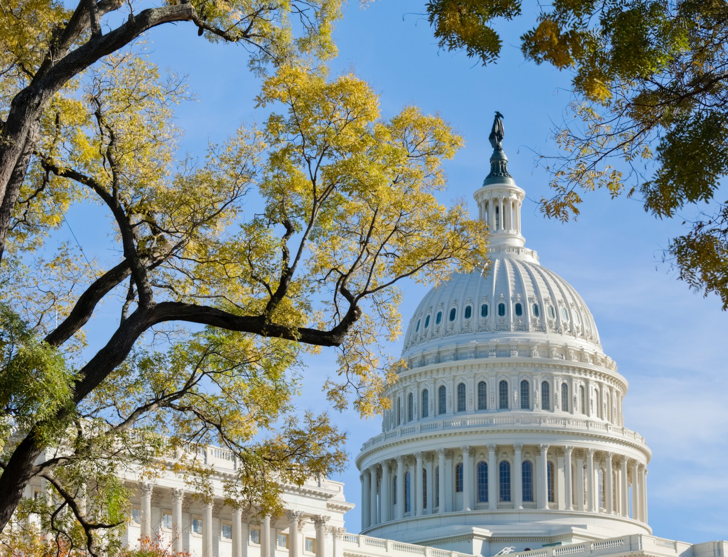 United States Capitol Dome Bordered by Trees in Autumn