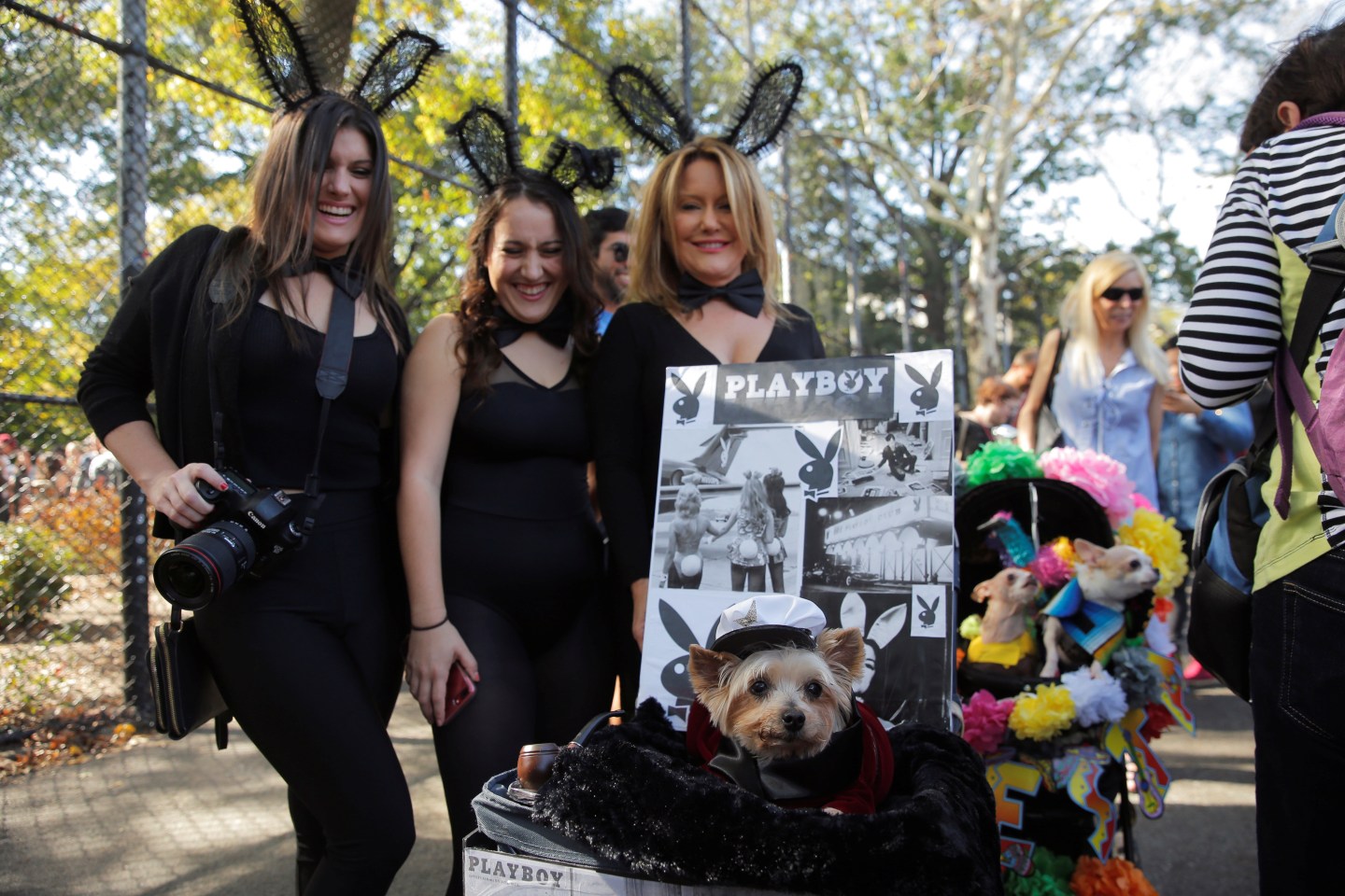 A dog dressed as Hugh Hefner takes part in the annual halloween dog parade at Manhattan's Tompkins Square Park in New York