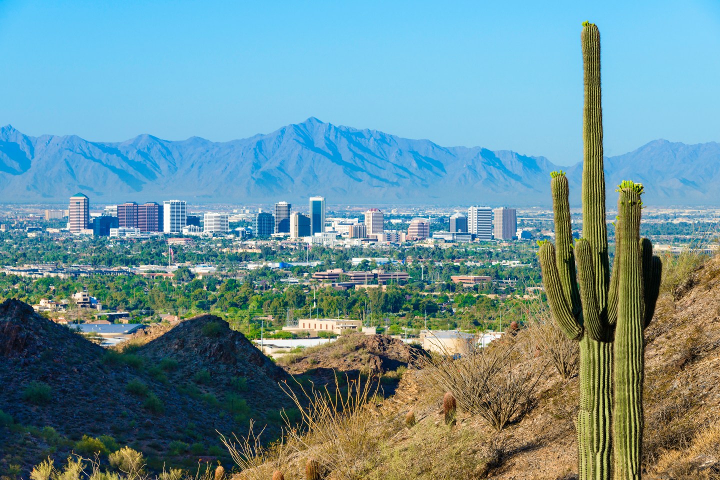Phoenix skyline framed by saguaro cactus and mountainous desert