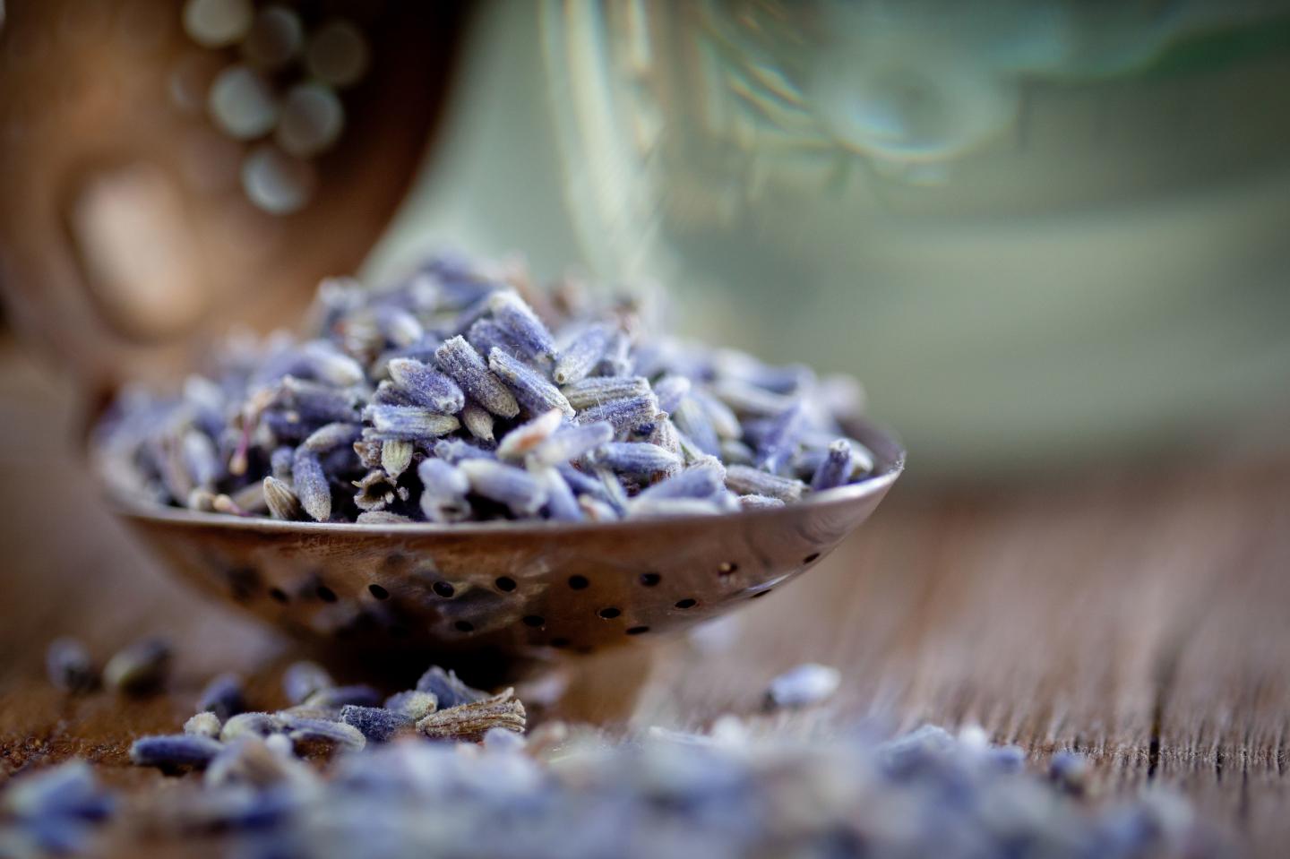 Phytotherapy